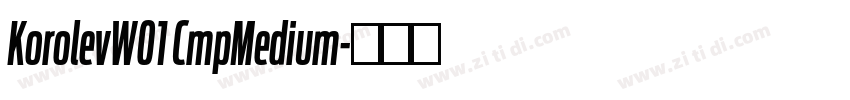 KorolevW01 CmpMedium字体转换
